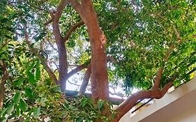Green Hub Pushkar