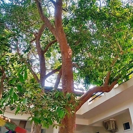 Green Hub Pushkar Villa Exterior photo