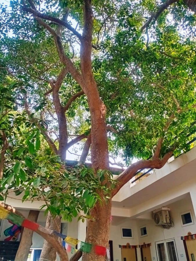 Green Hub Pushkar Villa Exterior photo